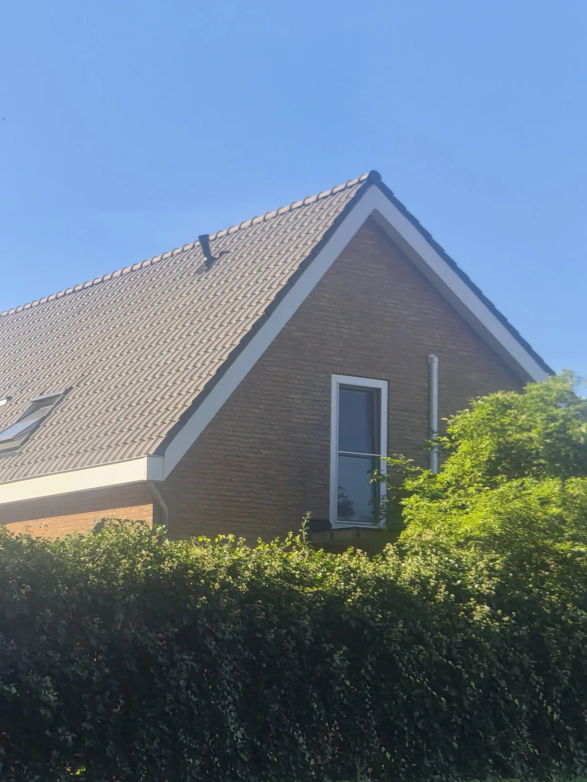 Nieuw pannendak na de renovatie