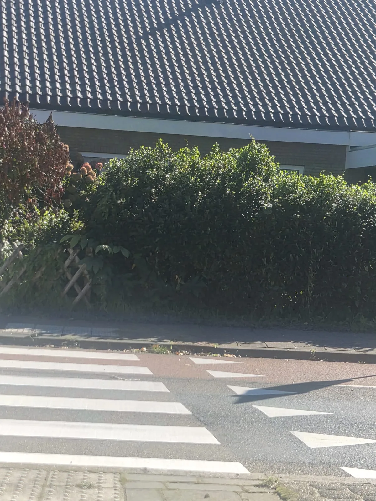 Na: strak gelegde pannen tot aan de goot