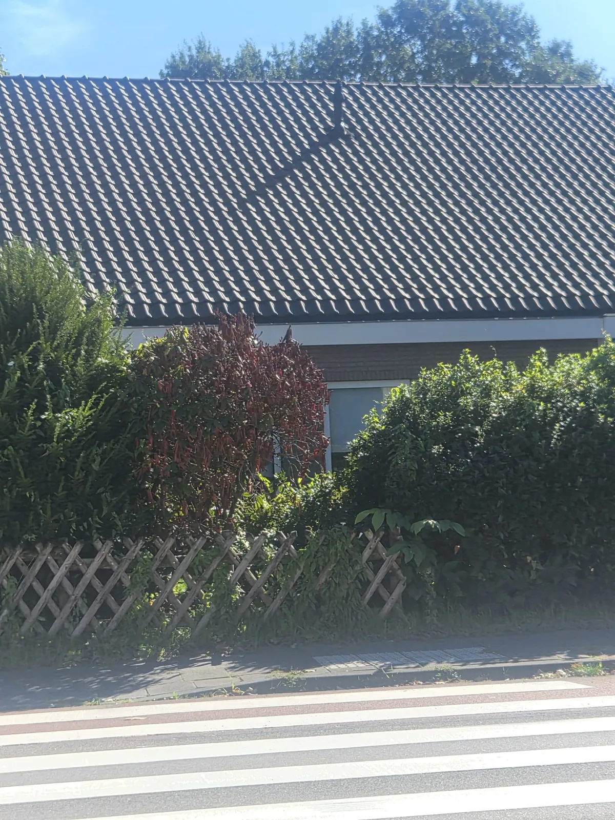 Na: de nieuwe pannen van dichtbij